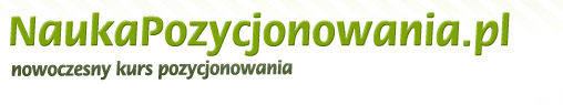 programy do pozycjonowania